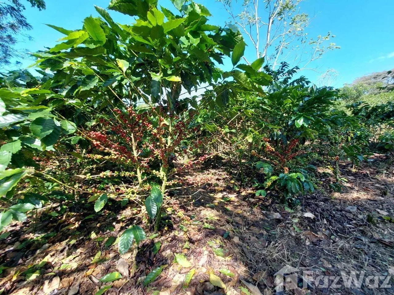 Land for Sale in Puriscal, San Jose for $1,100,000, photo 7