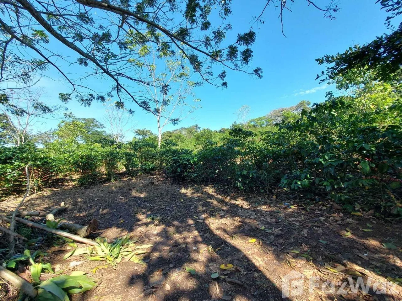 Land for Sale in Puriscal, San Jose for $1,100,000, photo 8