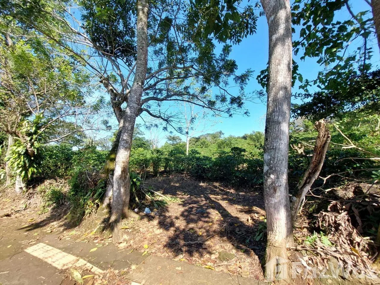 Land for Sale in Puriscal, San Jose for $1,100,000, photo 9