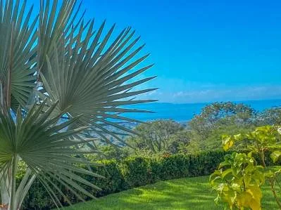 PROPERTY WITH TWO BEDROOMS WITH PANORAMIC VIEWS OF THE MOUNTAINS, IN OJOCHAL – 1.48 ACRES, photo 28