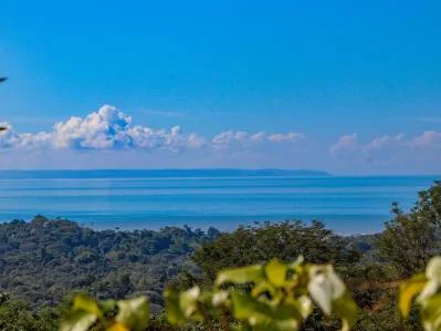 PROPERTY WITH TWO BEDROOMS WITH PANORAMIC VIEWS OF THE MOUNTAINS, IN OJOCHAL – 1.48 ACRES, photo 30