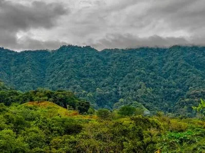PROPERTY WITH TWO BEDROOMS WITH PANORAMIC VIEWS OF THE MOUNTAINS, IN OJOCHAL – 1.48 ACRES, photo 33