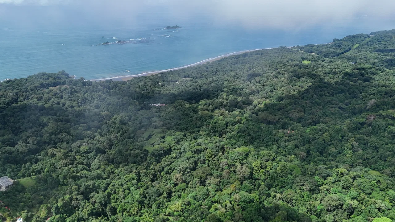 DEVELOPMENT PROPERTY IN THE MIDDLE OF THE JUNGLE, IN PIÑUELAS – 85 ACRES, photo 3