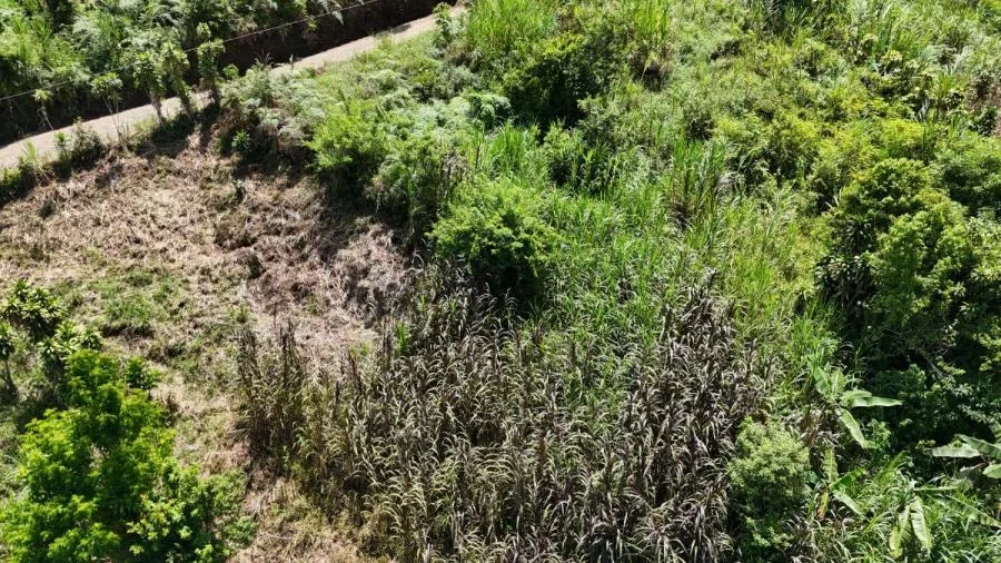 EN RIVAS LOTE DE 1,026m² PRIVADO Y FRESCO, COSTA RICA - Venta en Perez Zeledón, photo 6