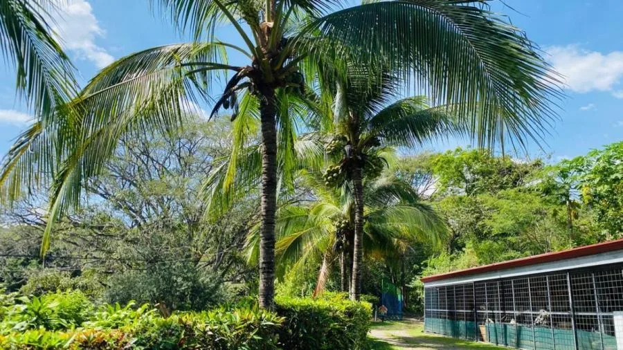 EN RIVAS LOTE DE 1,026m² PRIVADO Y FRESCO, COSTA RICA - Venta en Perez Zeledón, photo 8