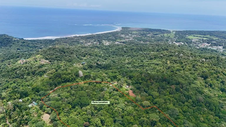 Uvita Development Farm - 40.47 Acres Estate, photo 12
