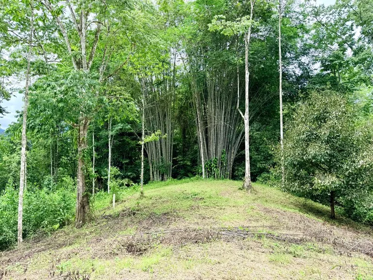Uvita Development Farm - 40.47 Acres Estate, photo 15
