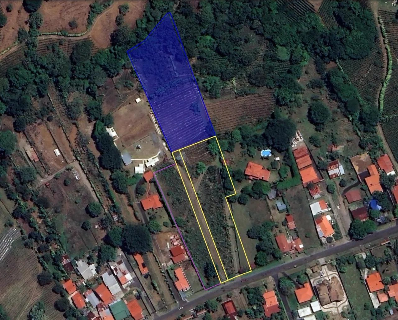 Lote en Sarchí Sur