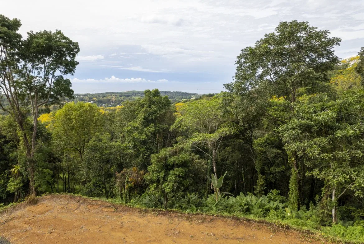 PRIME OCEAN VIEW PARCEL IN UVITA : A RARE COASTAL GEM – 1.9 ACRES, photo 2