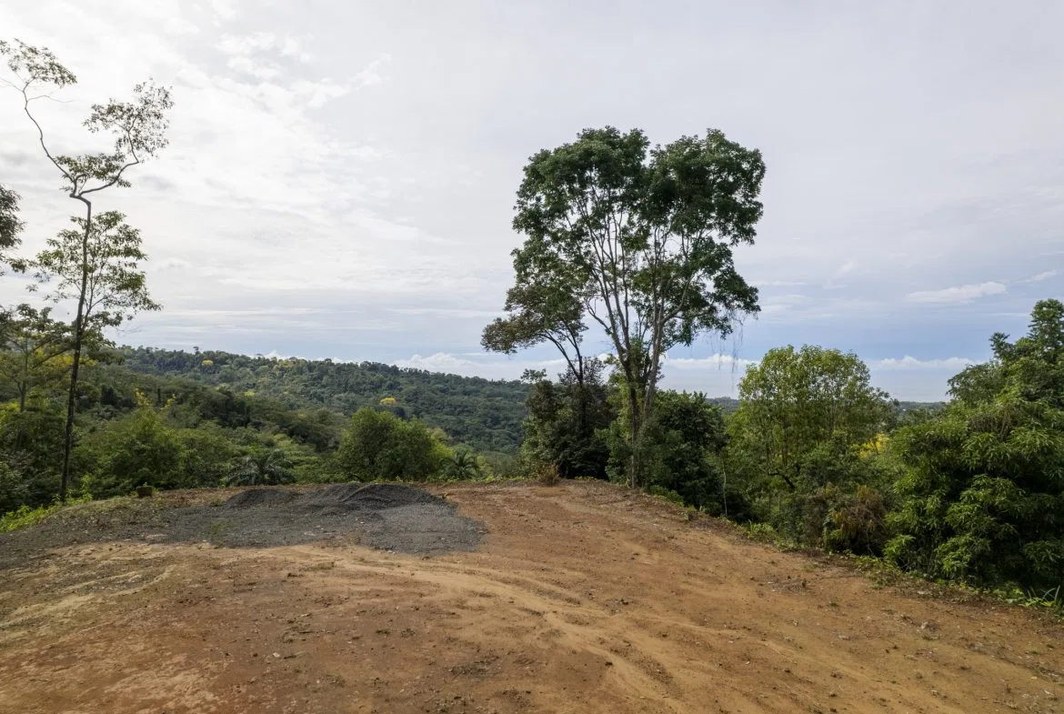 PRIME OCEAN VIEW PARCEL IN UVITA : A RARE COASTAL GEM – 1.9 ACRES, photo 14