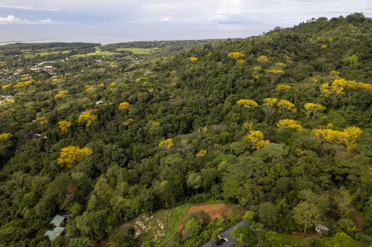 PRIME OCEAN VIEW PARCEL IN UVITA : A RARE COASTAL GEM – 1.9 ACRES, photo 17