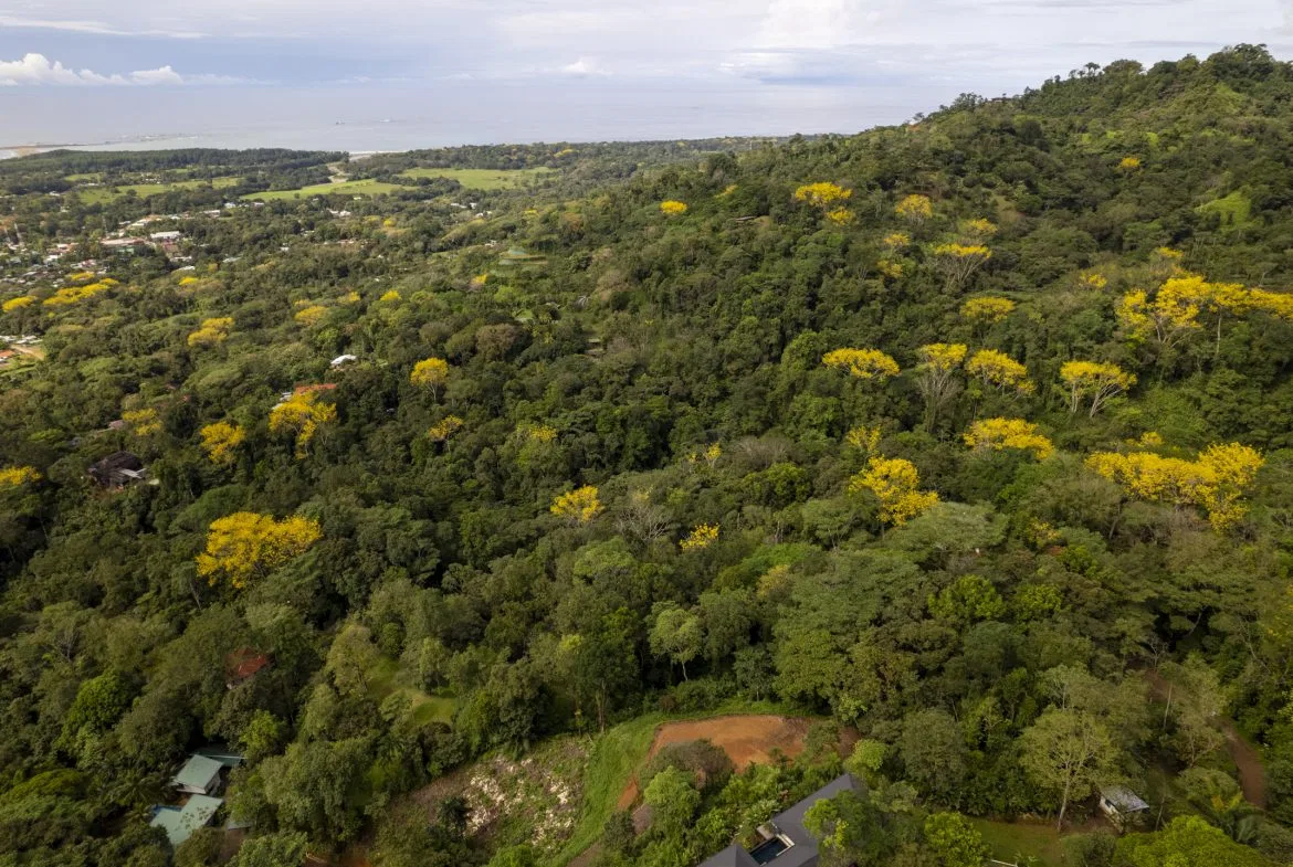 PRIME OCEAN VIEW PARCEL IN UVITA : A RARE COASTAL GEM – 1.9 ACRES, photo 18