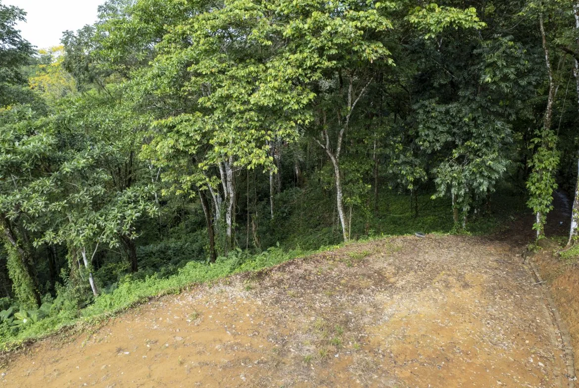 PRIME OCEAN VIEW PARCEL IN UVITA : A RARE COASTAL GEM – 1.9 ACRES, photo 20