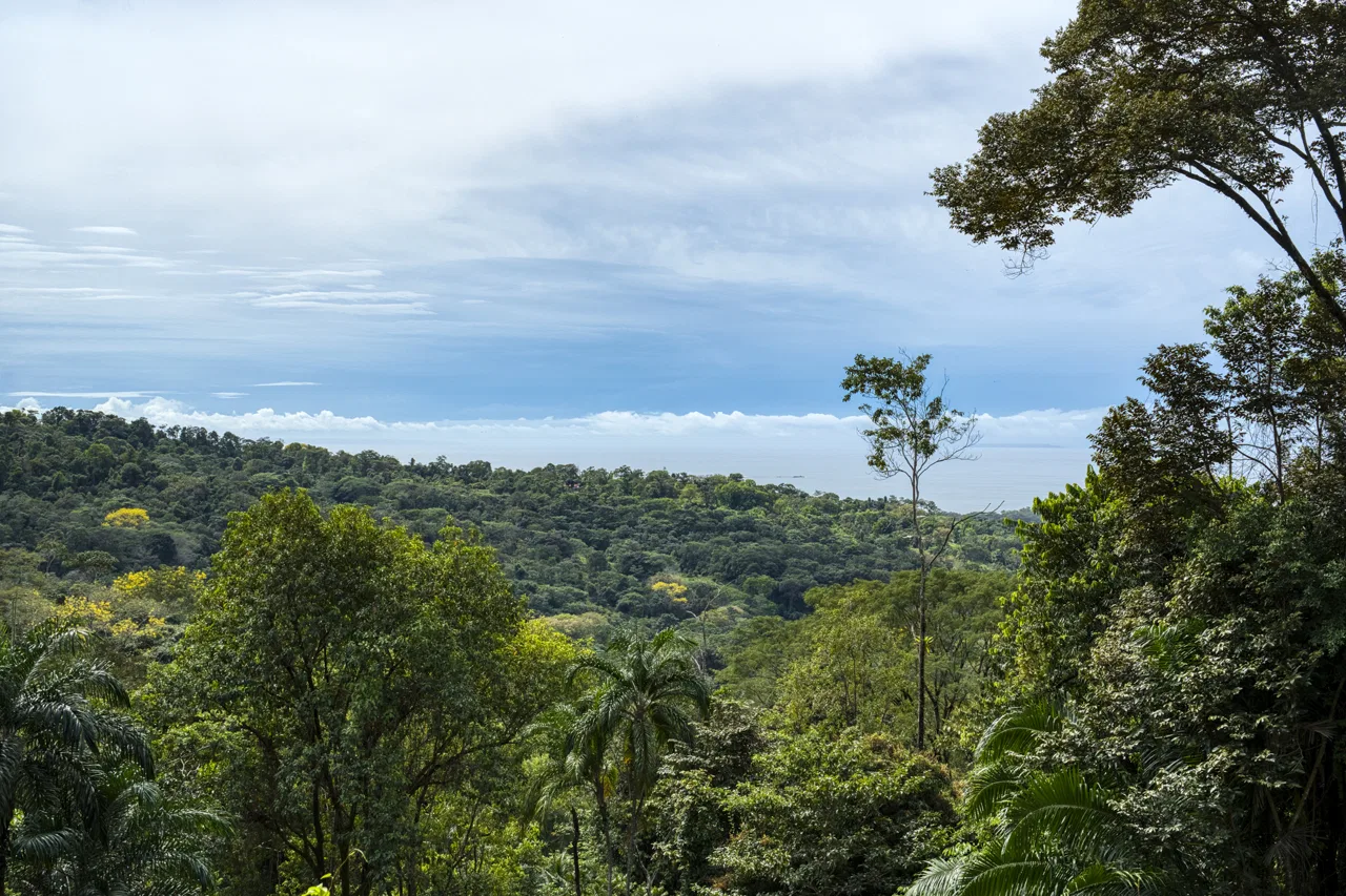 PRIME OCEAN VIEW PARCEL IN UVITA : A RARE COASTAL GEM – 1.9 ACRES, photo 3