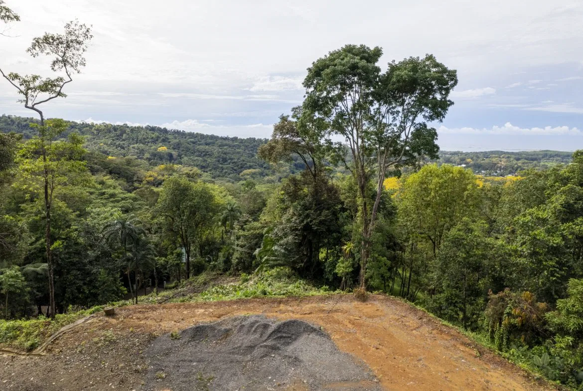 PRIME OCEAN VIEW PARCEL IN UVITA : A RARE COASTAL GEM – 1.9 ACRES, photo 24