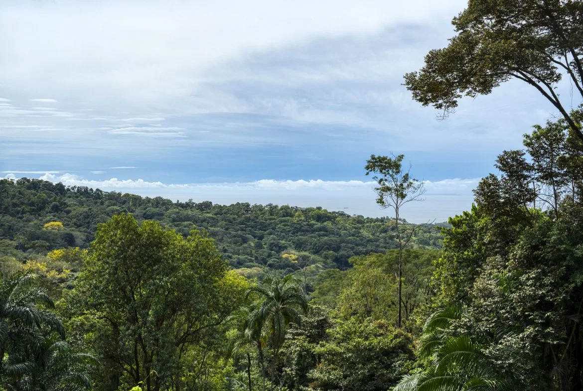 PRIME OCEAN VIEW PARCEL IN UVITA : A RARE COASTAL GEM – 1.9 ACRES, photo 4
