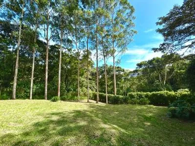 VENTA DE LOTE PLANO, 1.416.67 m², SAN RAMÓN, LA UNIÓN, photo 3