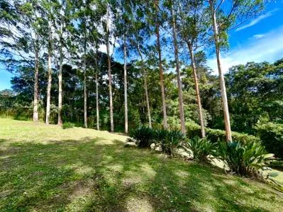 VENTA DE LOTE PLANO, 1.416.67 m², SAN RAMÓN, LA UNIÓN, photo 4