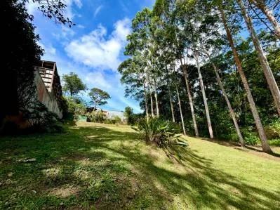 VENTA DE LOTE PLANO, 1.416.67 m², SAN RAMÓN, LA UNIÓN, photo 8