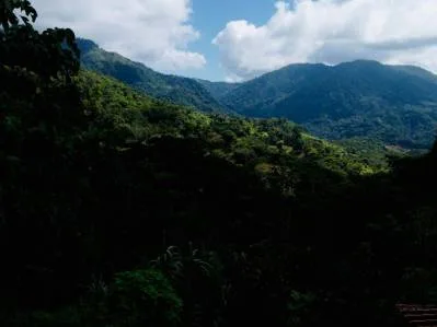 Encantador refugio de montaña a minutos de Ojochal, photo 7