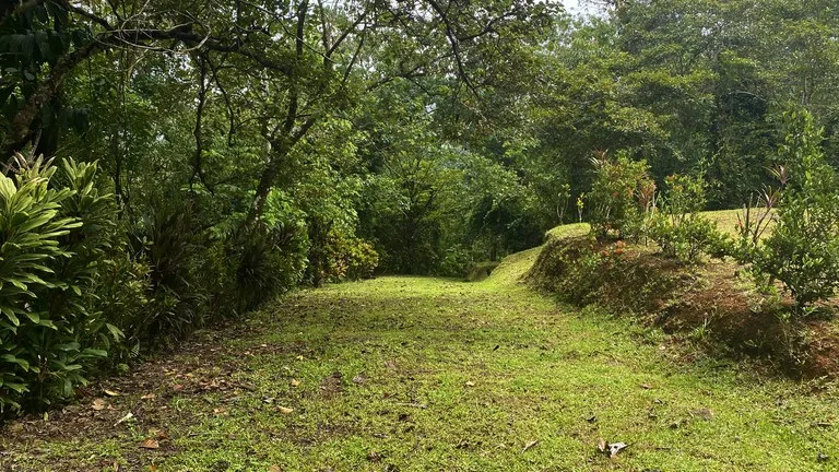 Mountain Home Construction Site For Sale in Tres Rios, photo 12