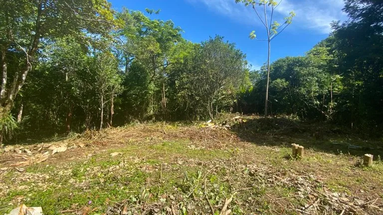 Mountain Home Construction Site For Sale in Tres Rios, photo 14