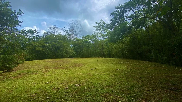 Mountain Home Construction Site For Sale in Tres Rios, photo 3