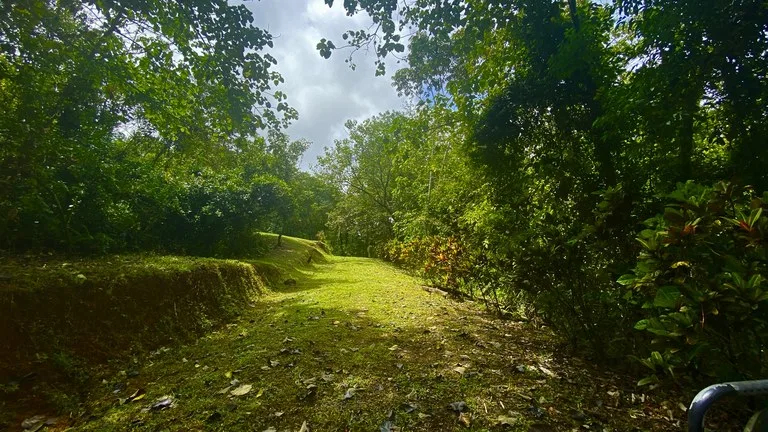 Mountain Home Construction Site For Sale in Tres Rios, photo 8