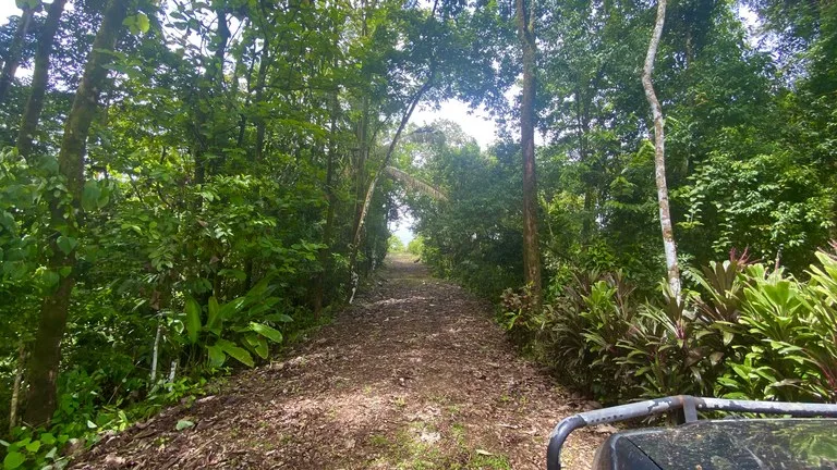 Mountain Home Construction Site For Sale in Tres Rios, photo 9
