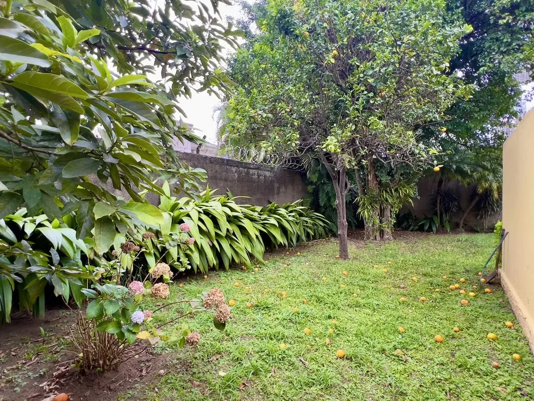 Propiedad comercial bien equipada disponible para alquiler en una zona comercial privilegiada, convenientemente ubicada junto a la ..., photo 9