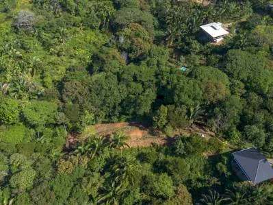 ¡Paraíso para surfistas! ¡Dos lotes útiles para construir en Playa Hermosa, cerca de Uvita!, photo 3