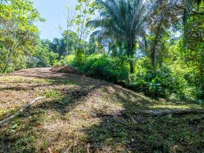 ¡Paraíso para surfistas! ¡Dos lotes útiles para construir en Playa Hermosa, cerca de Uvita!, photo 7