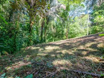 ¡Paraíso para surfistas! ¡Dos lotes útiles para construir en Playa Hermosa, cerca de Uvita!, photo 8