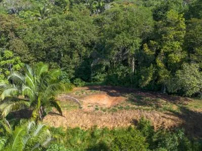 ¡Paraíso para surfistas! ¡Dos lotes útiles para construir en Playa Hermosa, cerca de Uvita!, photo 10