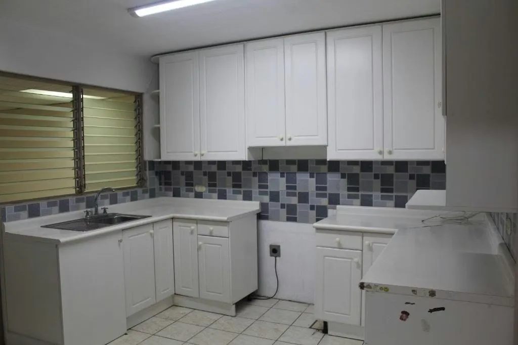 Primera planta: jardín, cochera para 2 carros, sala, comedor, terraza, cocina con muebles, cuarto de pilas amplio, cuarto de servicio con su baño., photo 3