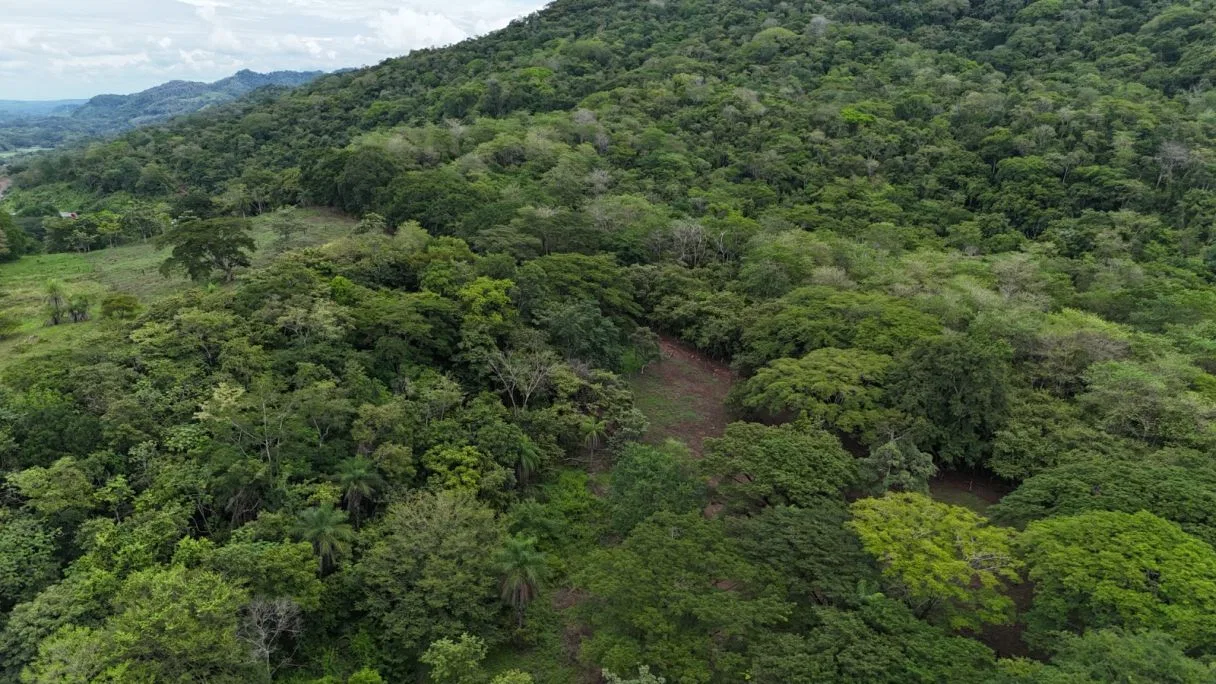 Commercial Lot with a House and Three Rental Cabins, Offering Business Potential Along Route 1 — Lourdes de Abangares, photo 12