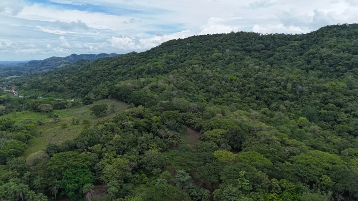 Commercial Lot with a House and Three Rental Cabins, Offering Business Potential Along Route 1 — Lourdes de Abangares, photo 16