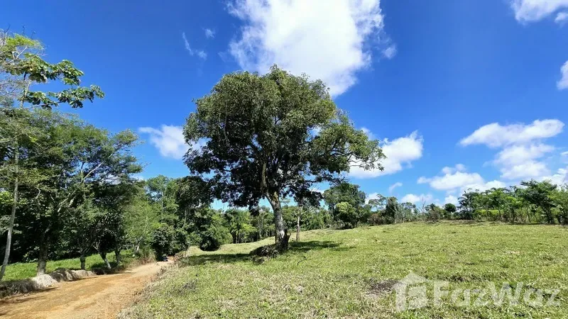 Land for Sale in Perez Zeledon, San Jose for $90,000, photo 11