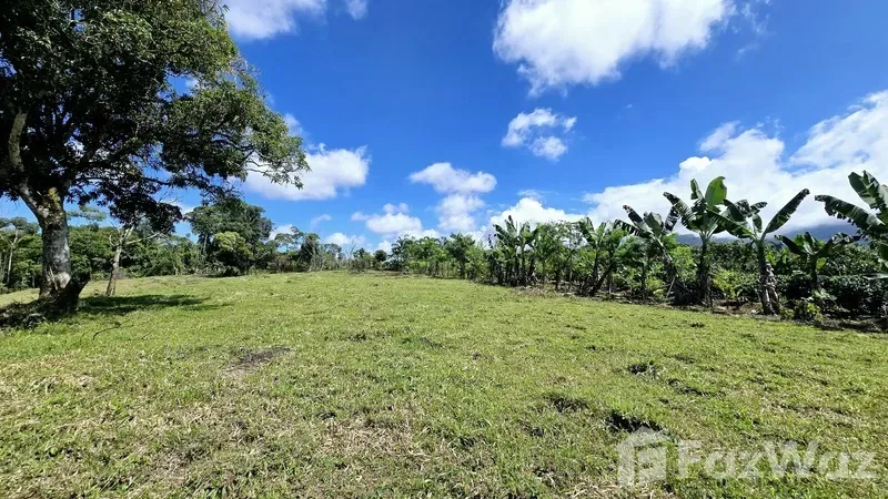 Land for Sale in Perez Zeledon, San Jose for $90,000, photo 12
