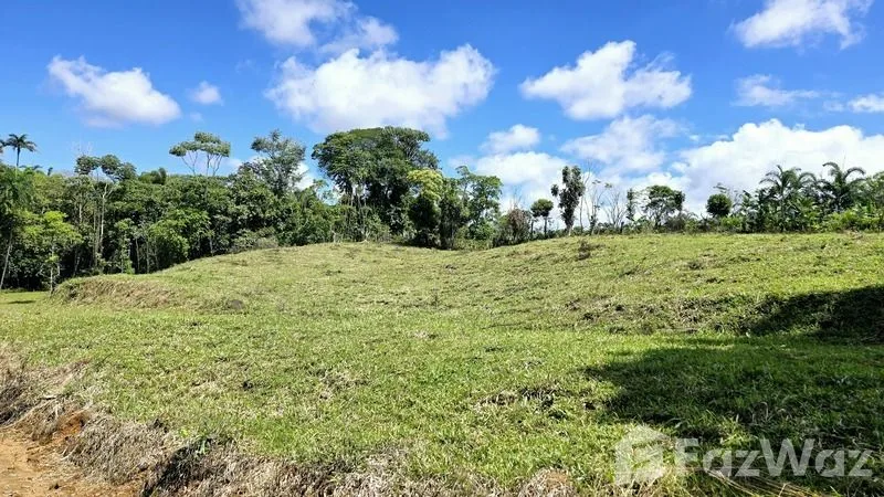 Land for Sale in Perez Zeledon, San Jose for $90,000, photo 13