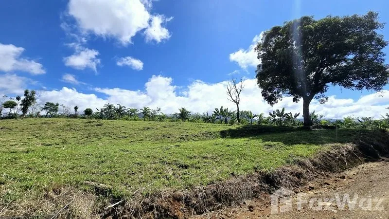 Land for Sale in Perez Zeledon, San Jose for $90,000, photo 14