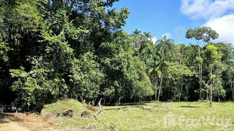 Land for Sale in Perez Zeledon, San Jose for $90,000, photo 15