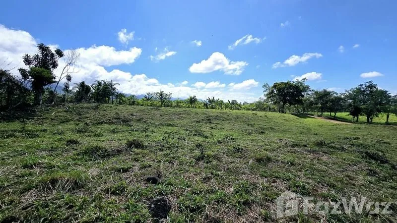 Land for Sale in Perez Zeledon, San Jose for $90,000, photo 6