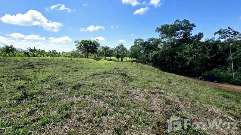 Land for Sale in Perez Zeledon, San Jose for $90,000, photo 7