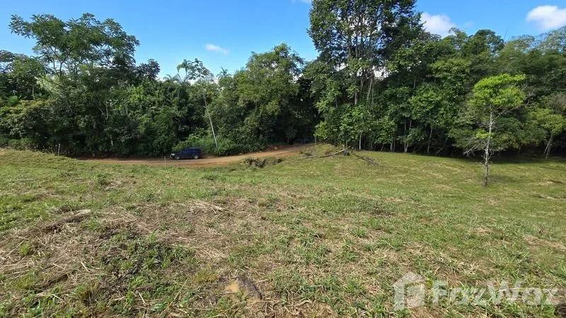 Land for Sale in Perez Zeledon, San Jose for $90,000, photo 8