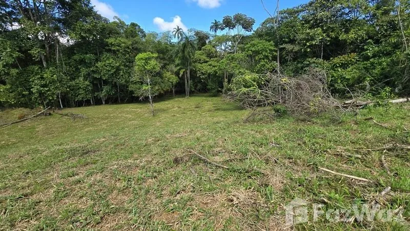 Land for Sale in Perez Zeledon, San Jose for $90,000, photo 9