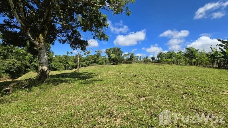 Land for Sale in Perez Zeledon, San Jose for $90,000, photo 10