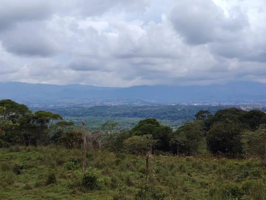 EN VENTA: IMPRESIONANTE FINCA DE 9 HECTÁREAS EN SAN BLAS CON NACIENTES - Venta en Perez Zeledón, photo 12