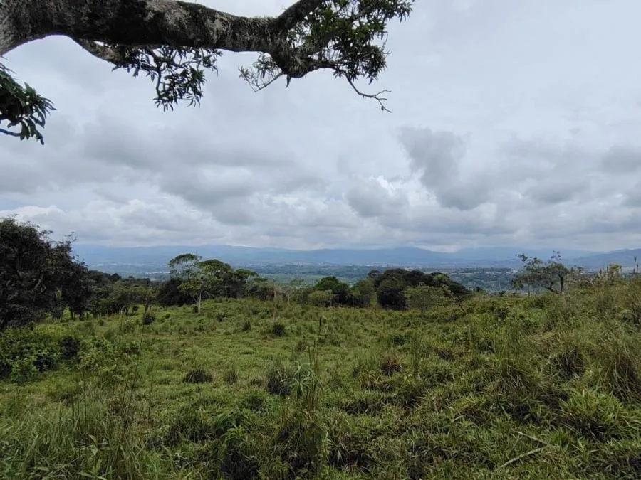 EN VENTA: IMPRESIONANTE FINCA DE 9 HECTÁREAS EN SAN BLAS CON NACIENTES - Venta en Perez Zeledón, photo 6