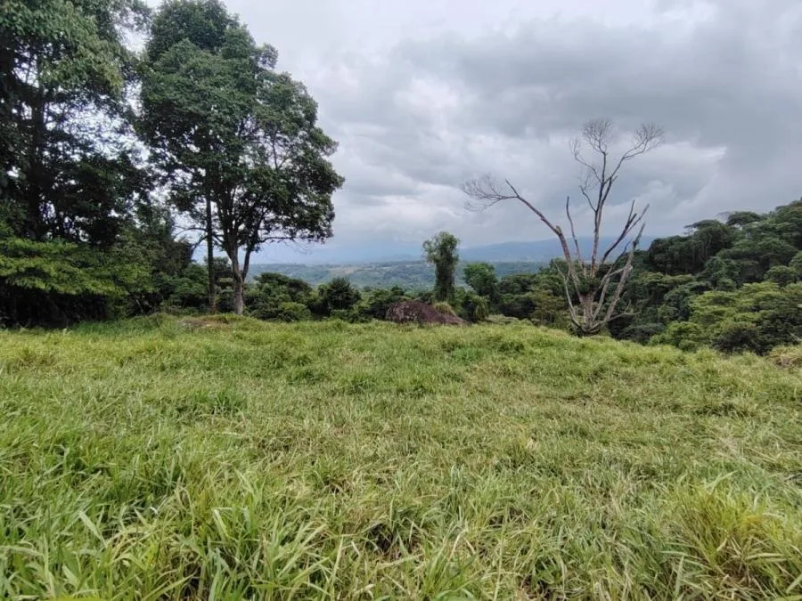 EN VENTA: IMPRESIONANTE FINCA DE 9 HECTÁREAS EN SAN BLAS CON NACIENTES - Venta en Perez Zeledón, photo 8